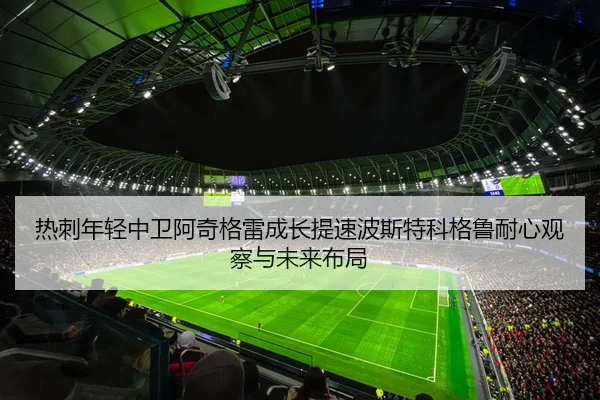 热刺年轻中卫阿奇格雷成长提速波斯特科格鲁耐心观察与未来布局